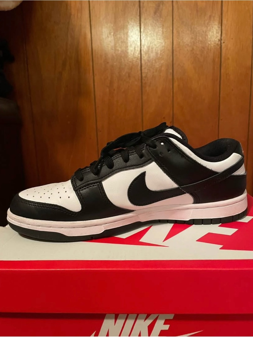 Panda Nike dunks